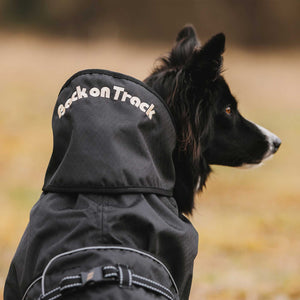 Waterproof coat for dog without padding Back on Track