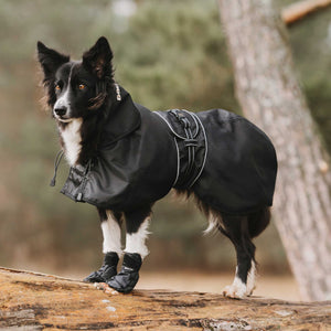 Waterproof coat for dog without padding Back on Track