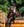 Woof Wear – Cloches Ballistic No-Turn Premier Equine Black 2 | Sellerie Bucéphale