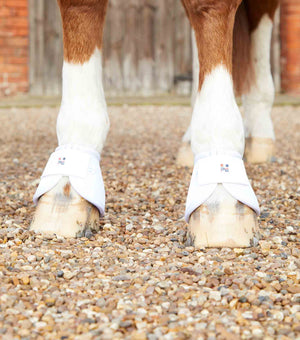 Woof Wear – Cloches Ballistic No-Turn Premier Equine White 3 | Sellerie Bucéphale