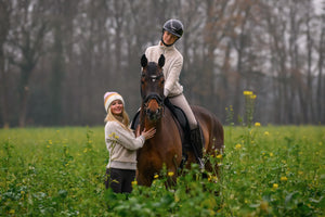CAVALDESI Sand-stone - Cavallo