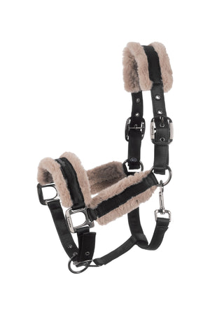 CAVALJERO Black - Cavallo