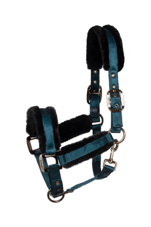 CAVALJERO Dark-peacock - Cavallo