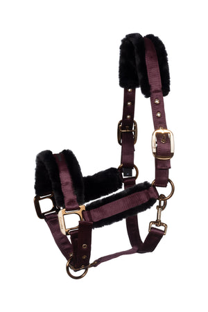 CAVALJERO Dusty-plum - Cavallo