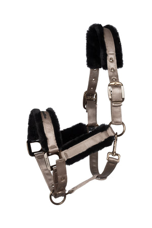 CAVALJERO Latte - Cavallo