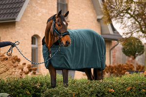 CAVALJOSELLE Dark-peacock - Cavallo