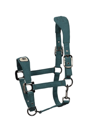 CAVALPAWEL Dark-peacock - Cavallo