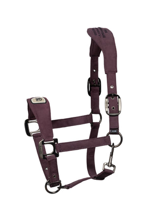 CAVALPAWEL Dusty-plum - Cavallo