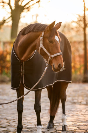 CAVALRESA Latte - Cavallo