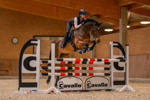 CAVALROMY Darkblue - Cavallo