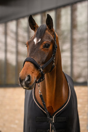 CAVALROSE Black - Cavallo
