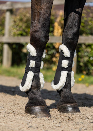Woof Wear – Protège-tendons VISION Elegance Woof Wear Noir 5 | Sellerie Bucéphale