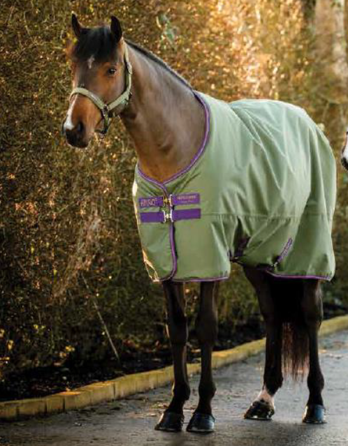 Copertura esterna Amigo® Hero 0g <tc>Horseware</tc>