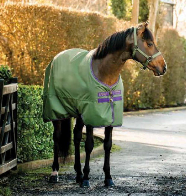 Copertura esterna Amigo® Hero 0g <tc>Horseware</tc>