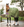 Copertura esterna Amigo® Hero 0g <tc>Horseware</tc>