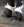 Woof Wear – Cloches Carbon Tech Techno Wool Premier Equine Black | Sellerie Bucéphale