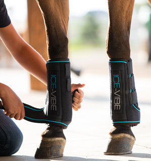 Ice Vibe ló lábszárvédők Horseware