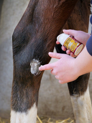 KEVIN BACON’S Wundheilcreme Derma Protek