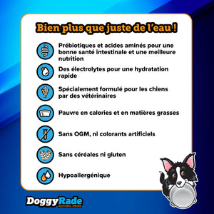 Präbiotisches Getränk mit Huhn für Hunde - Doggyrade
