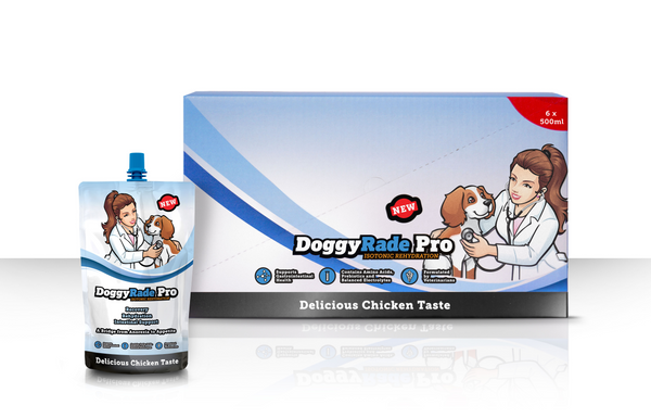 Advanced intestinal support drink for dogs - Doggyrade Pro +