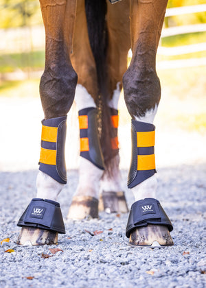 Woof Wear – Cloches PRO Woof Wear Noir 5 | Sellerie Bucéphale