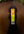 Woof Wear – Feu arrière LED Hi Vis Woof Wear Hi Vis Yellow | Sellerie Bucéphale