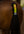 Woof Wear – Feu arrière LED Hi Vis Woof Wear Hi Vis Yellow 2 | Sellerie Bucéphale