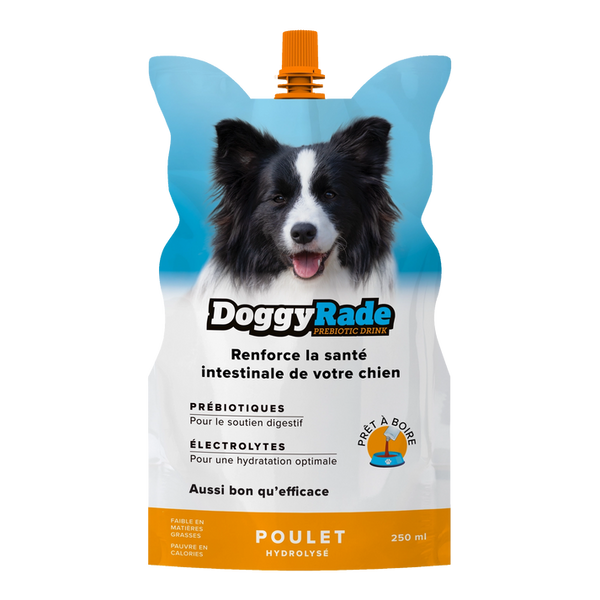 Prebiotic Chicken Drink for Dogs - Doggyrade