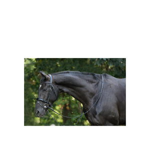 Bridon de dressage TRUST Rotterdam à muserolle vernie
