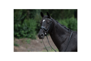 Bridon de dressage TRUST Vancouver à double muserolle vernie