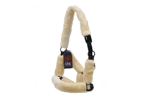 Licol TRUST en nylon doublé mouton synthétique