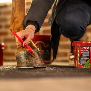 Application de Kevin Bacon's Hoof Dressing au pinceau sur le sabot