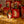 Graisse à pied Kevin Bacon's Hoof Dressing Winter 5 L