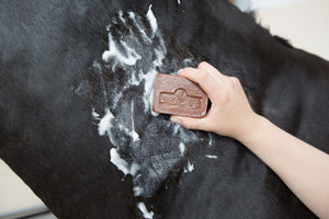 Savon Kevin Bacon's Active Soap 100 g
