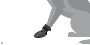 Ghete pentru câine "Koda" Back on Track