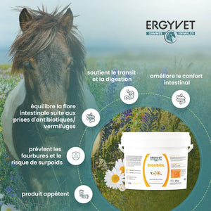 Ergyvet Digebiol – bénéfices : transit, flore intestinale, confort digestif