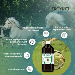Ergyvet Drainabiol – bénéfices : élimination des toxines, soutien hépatique et rénal