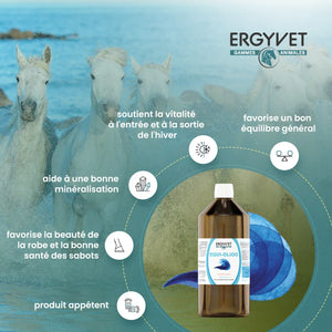 Ergyvet Equi-Oligo – bénéfices : reminéralisation, vitalité, robe et sabots