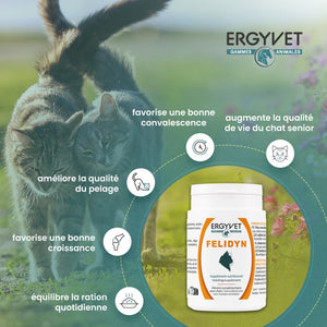 Ergyvet Felidyn – bénéfices : pelage, convalescence, croissance du chaton