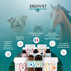 Ergyvet Fortibiol – bénéfices : énergie, récupération, croissance harmonieuse