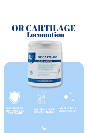 Or-Vet – Or-Cartilage : Réparation articulaire pour votre cheval    | Sellerie Bucéphale