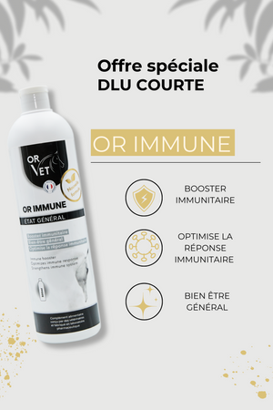 Or-Vet – OR-Immune    | Sellerie Bucéphale