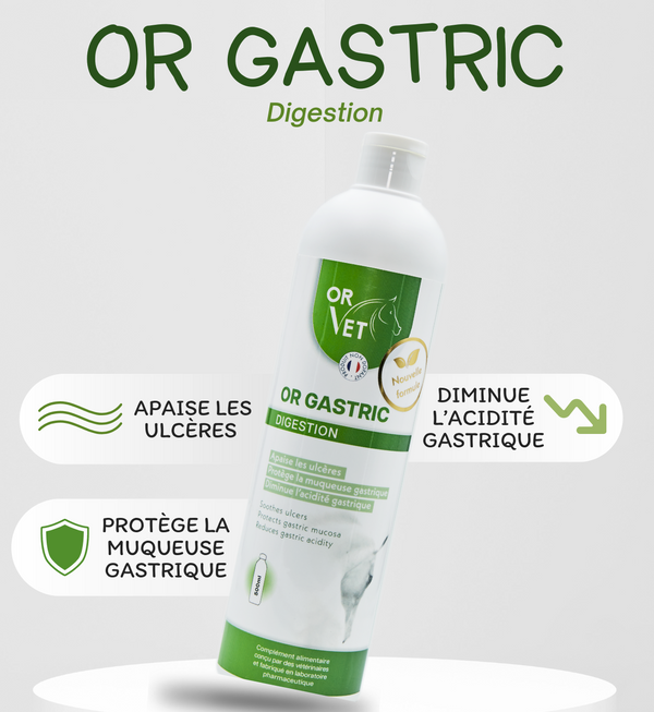 Or-Vet – Or-Gastric : protection de la muqueuse gastrique du cheval    | Sellerie Bucéphale