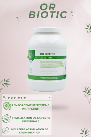 Or-Vet – OR BIOTIC probiotiques et prébiotiques par Or-Vet    | Sellerie Bucéphale