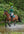 Woof Wear – Couvre-casque convertible Woof Wear British Racing Green 3 | Sellerie Bucéphale