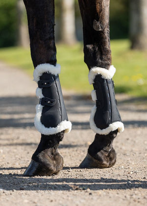 Woof Wear – Protège-tendons VISION Elegance Woof Wear Noir 4 | Sellerie Bucéphale
