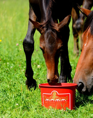 Kevin Bacon's – KEVIN BACON’S Hoof Formula    | Sellerie Bucéphale
