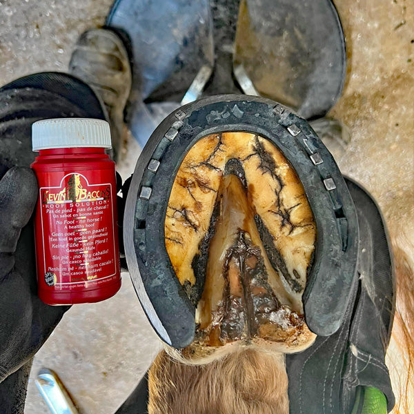 KEVIN BACON’S Hoof Solution