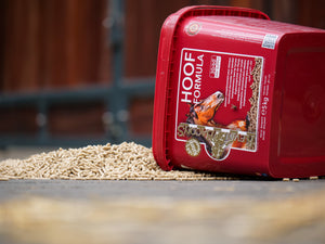 KEVIN BACON’S Hoefformule