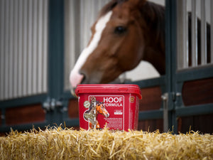 KEVIN BACON’S Hoefformule